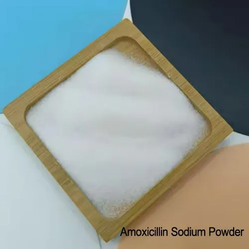 Matèries primeres API amoxicil·lina